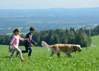 Spaß mit unseren Tieren auf  Hof Rossruck